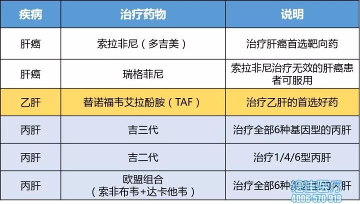 重庆旭阳教育 第366页