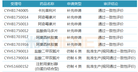 2024澳门特马今晚开奖49图片,创新策略执行_轻量版95.737