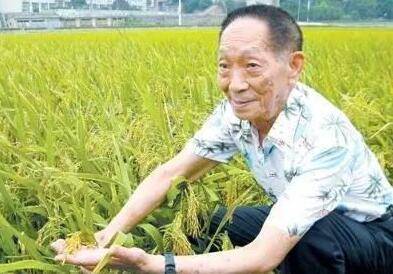 袁隆平，稻田里的快乐使者，揭秘其最新成就