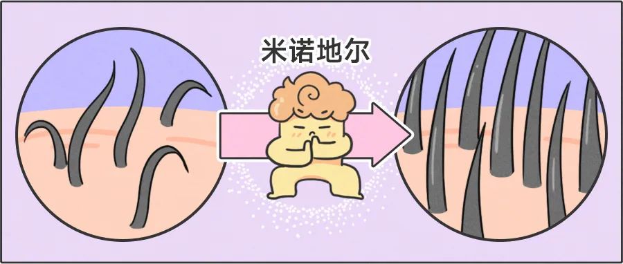 重庆旭阳教育 第256页