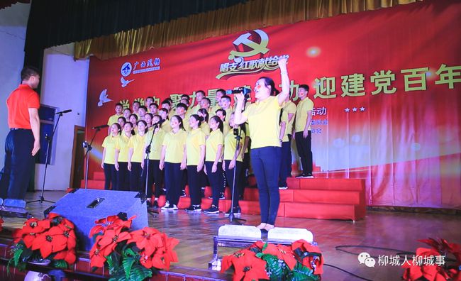 最新儿童歌曲大全，唱响成长力量，拥抱自信与成就感