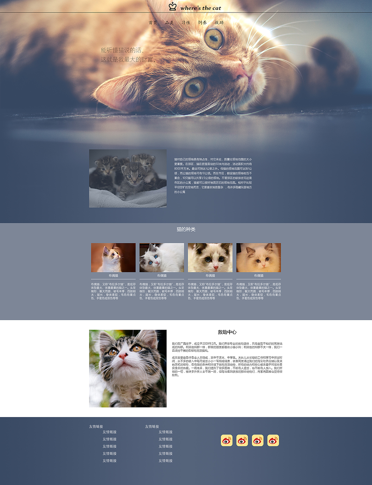 猫咪最新资讯与数字世界探索网页