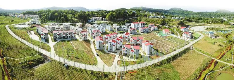 恩阳区柳林镇最新新闻报道