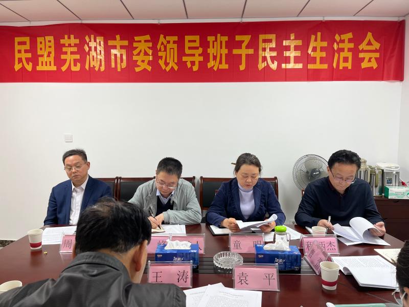 芜湖市最新领导班子概述及成员调整动态